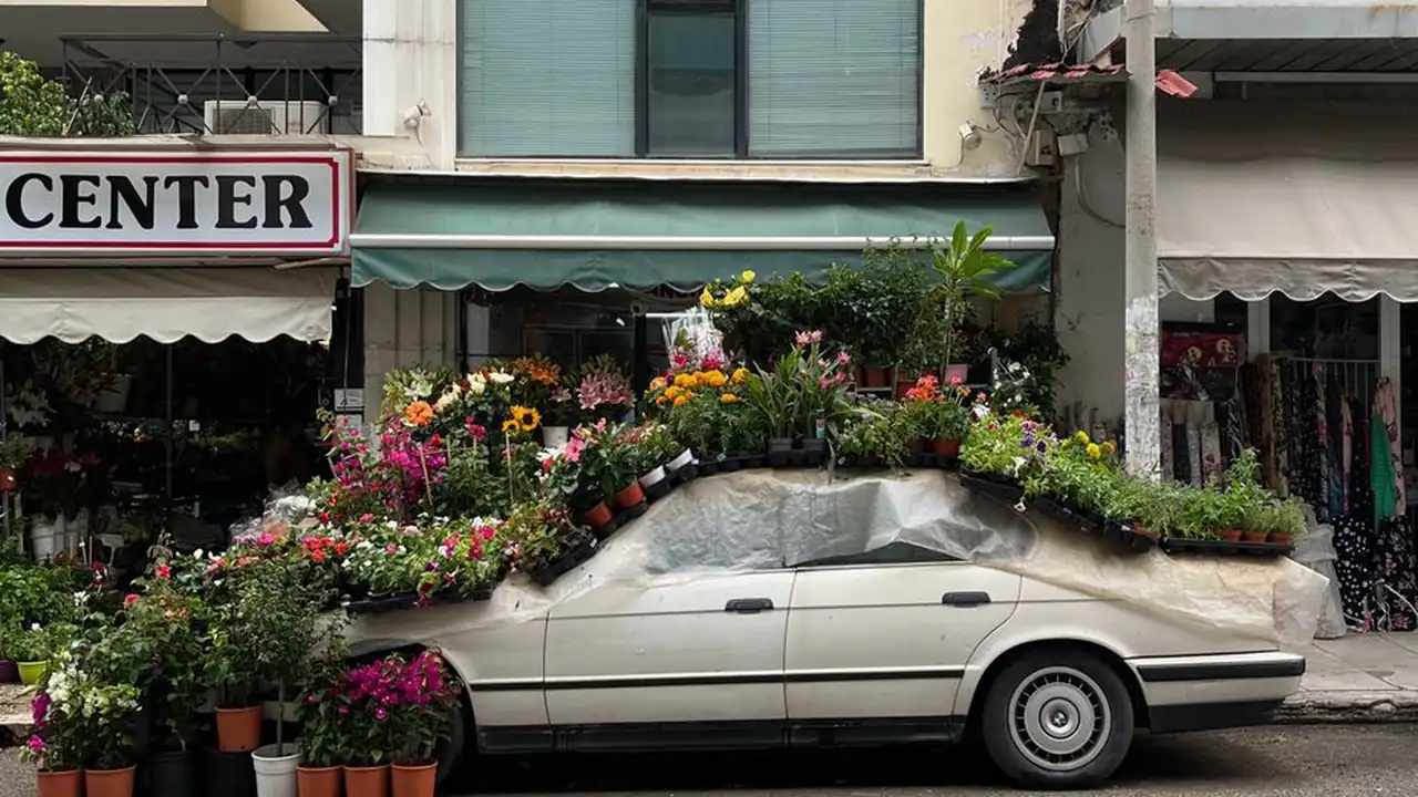 青青草福利怎么领？常见使用场景与避坑指南